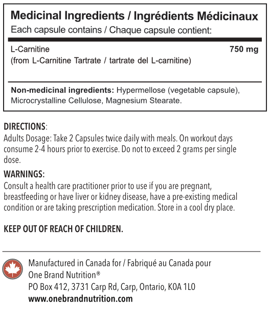 does l carnitine burn belly fat Beneficial effects of l-carnitine supplementation for weight management in overweight and obese adults: An updated systematic review and dose-response meta-analysis of randomized controlled trials does l carnitine burn belly fat Beneficial effects of l-carnitine supplementation for weight management in overweight and obese adults: An updated systematic review and dose-response meta-analysis of randomized controlled trials